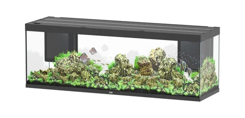 Aquarium coloris noir Aquatlantis Sublime Ultra LED 2.0 675 L - 200 x 60 x 75 cm