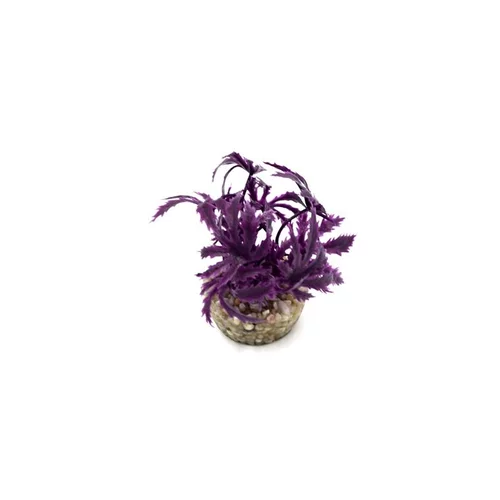 Papyrus violet en plastique 8 cm