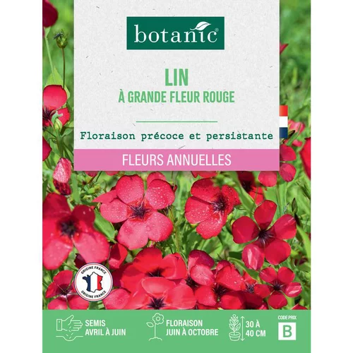 Graines de fleurs Lin à grande fleur rouge botanic®