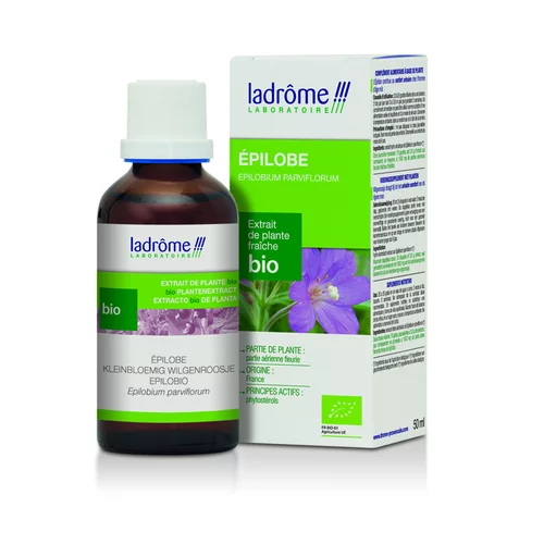 Épilobe extrait de plantes fraîches bio Ladrôme - 50 ml