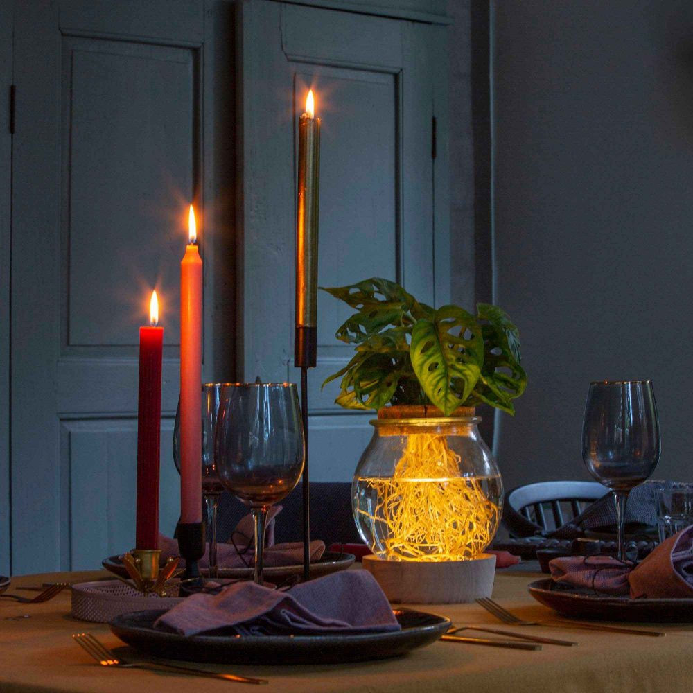 Monstera et son Ampoule vase avec LED Monstera