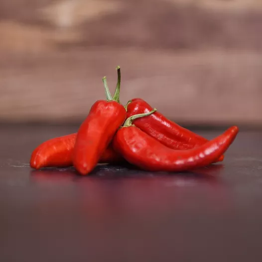 Graines bio de Piment Fish Pepper