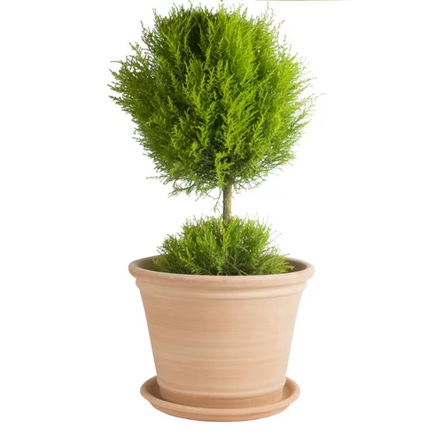 Pot Cocio Terraza en terre cuite claire D25x H25