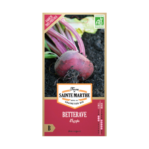 GRAINES BETTERAVE D'ÉGYPTE BIO