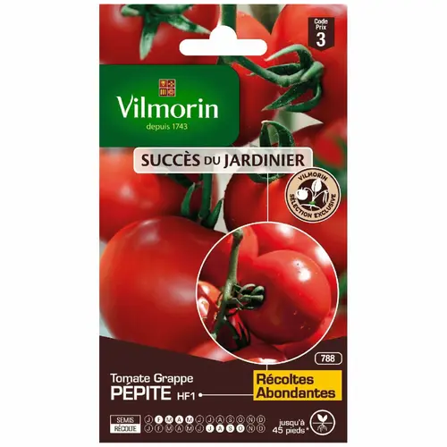 Graines de Tomate Pépite HF1 Vilmorin - graines à semer