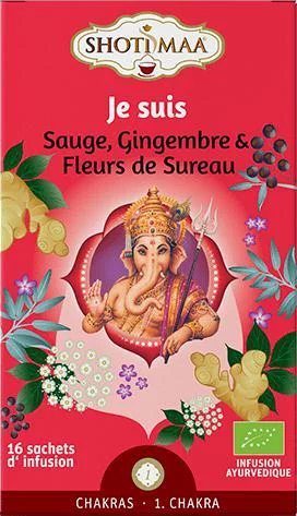 Thé Je suis Shoti Maa bio - 16 x 2 g