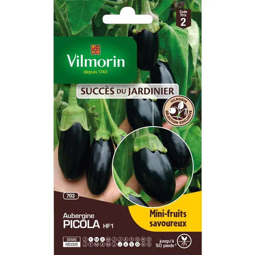Graines d'aubergine picola HF1 Vilmorin - graines à semer