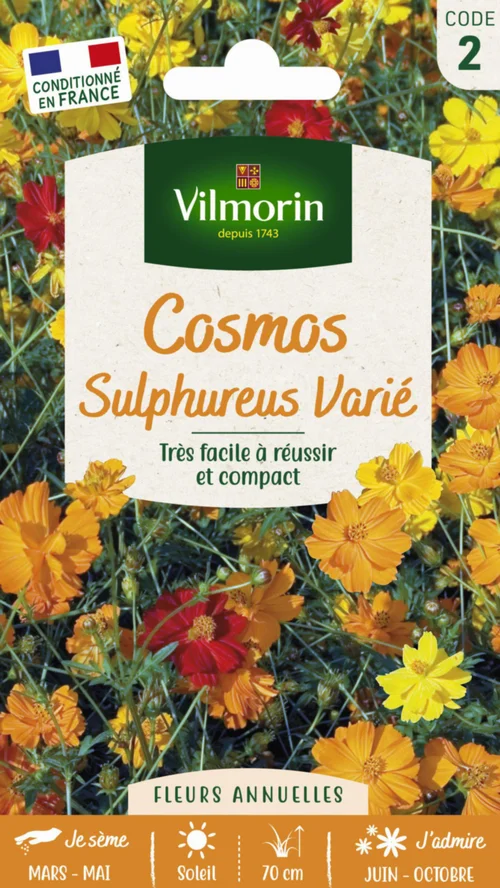 Cosmos Sulphureus Varié Vilmorin - graines à semer