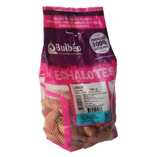 Bulbes d’échalotes longue Longor calibre 15/35, 500 g