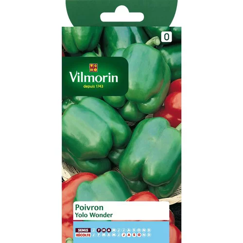 Graines de poivron yolo wonder Vilmorin - graines à semer