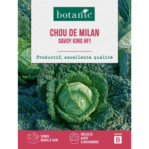 Graines de chou de Milan roi des Milans HF1 botanic® - graines à semer