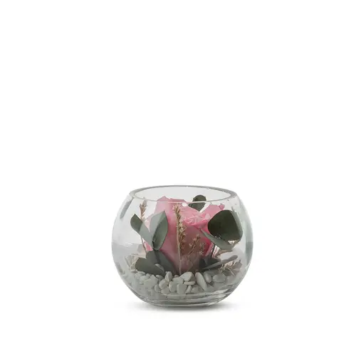 Verrine de végétaux stabilisés rose pastel et eucalyptus Naturalys Venezia 11 - Ø 11 x H 11 cm