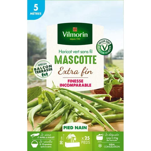 Graines de haricot nain Mascotte Vilmorin x 5 mètres - graines à semer