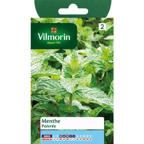 Graines de menthe poivrée Vilmorin - graines à semer