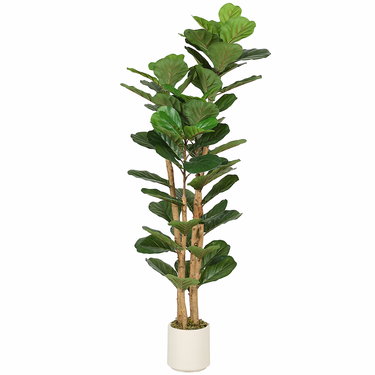 Arbre artificiel plante artificiel figuier lyre H.1 – 5 m vrais troncs 71 feuilles grand réalisme