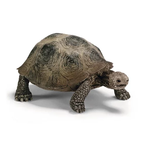 Figurine Tortue géante Série Animaux sauvages 8,5x5,5x4 cm