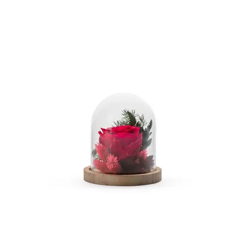Verrine de végétaux stabilisés mix rouge Naturalys Cloche - Ø 12 x H 13 cm