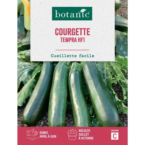 Graines de courgette tempra HF1 botanic® - graines à semer