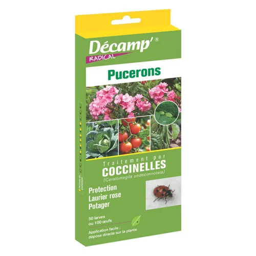 Traitement aux coccinelles anti pucerons Décamp