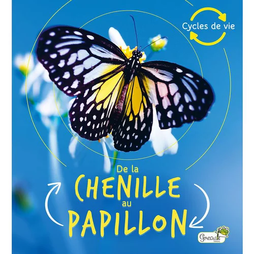 De la chenille au papillon aux éditions Grenouille