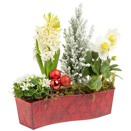 Composition de Noël Chemin de Table 25 cm - La coupe en zinc
