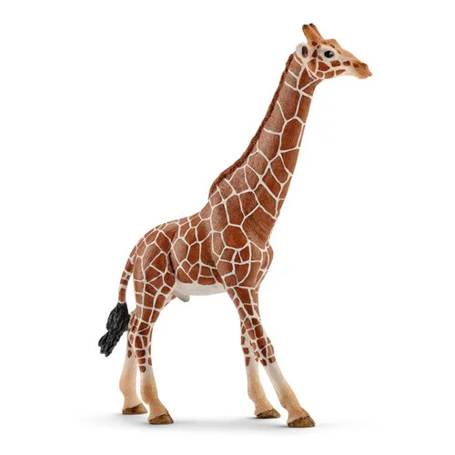 Figurine girafe mâle Série Animaux sauvages 12,7x4,4x17 cm