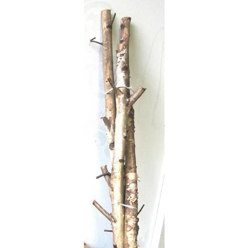 Fagot de 3 branches de bouleaux - Le fagot