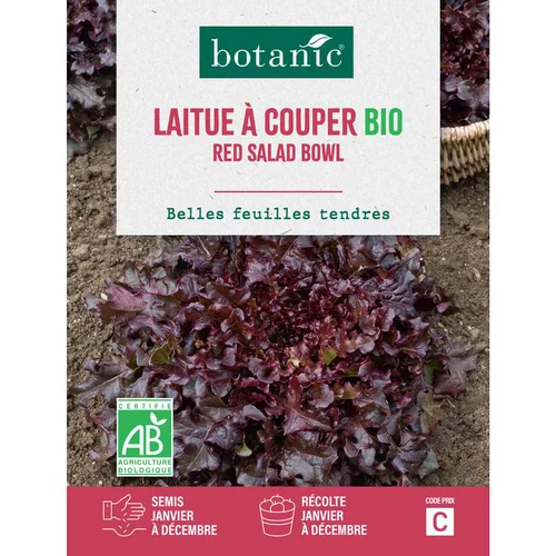 Graines de laitue à couper red salad bowl bio botanic® - graines à semer