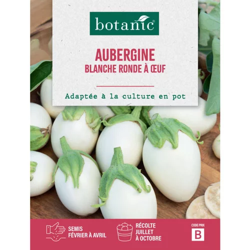 Graines d'aubergine blanche ronde à œuf botanic® - graines à semer