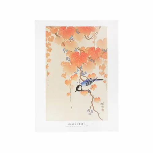 Affiche mésange sur une branche - 30 x 40 cm