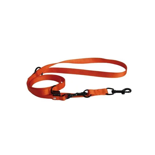 Laisse dressage 3pt orange