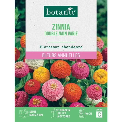 Graines de fleurs de Zinnia double nain varié botanic®