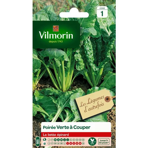 Graines de poirée verte à couper Vilmorin - graines à semer