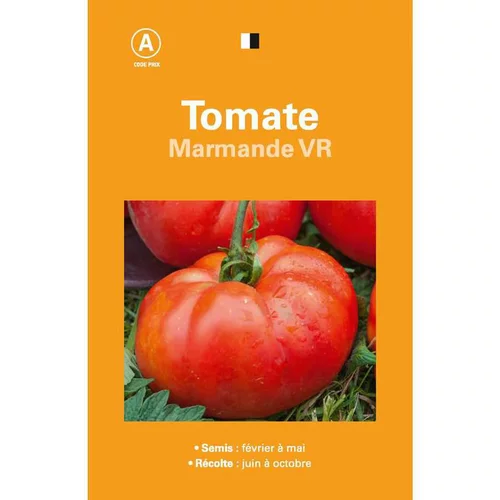 Graines de tomate marmande premier prix - graines à semer