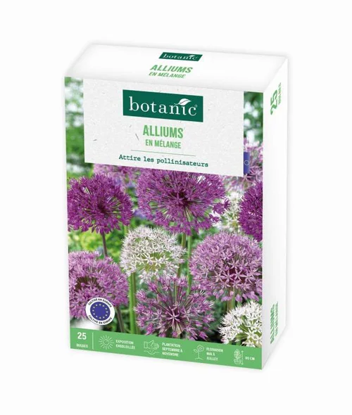 Allium botanic® - 25 bulbes