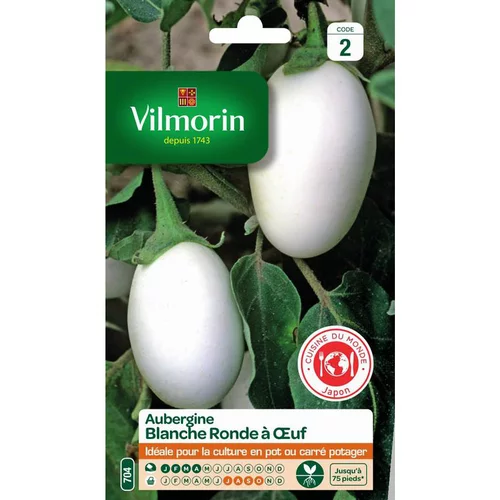 Graines d'aubergine blanche ronde à œuf Vilmorin - graines à semer