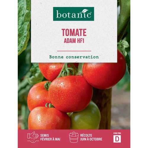 Graines de tomate adam hybride f1 botanic® - graines Adam semer