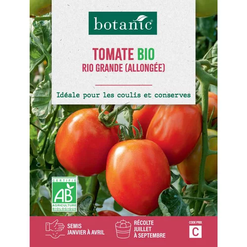 Graines de tomate rio grande bio allongée botanic® - graines rio semer