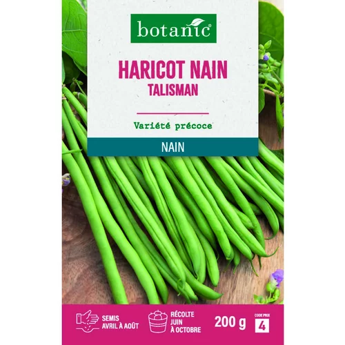 Graines de haricot nain talisman extra-fin sans fil botanic® - graines à semer 200 g