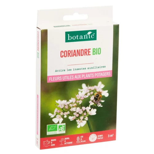 Coriandre bio botanic® - graines à semer (3 m²)