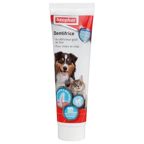 Dentifrice pour chien goût foie 100 g