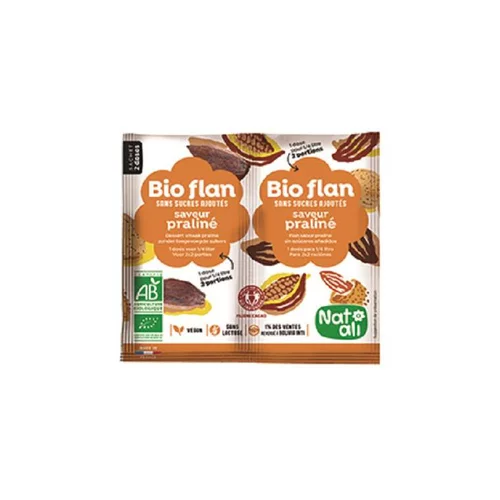 Bio Flan Saveur Praliné sachet 10g