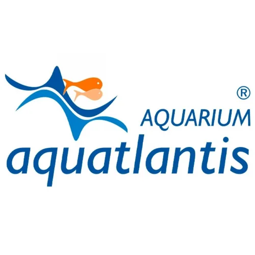 Tube de rejet avec coude pour Biobox 2, AQUATLANTIS