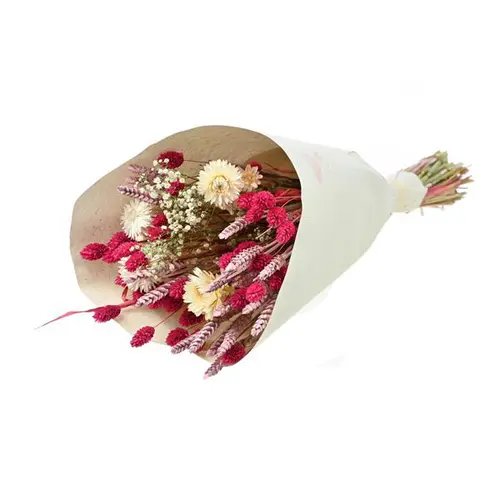 Bouquet de fleurs séchées Naturalys Trendy rose - Ø 25/30 x H 50 cm