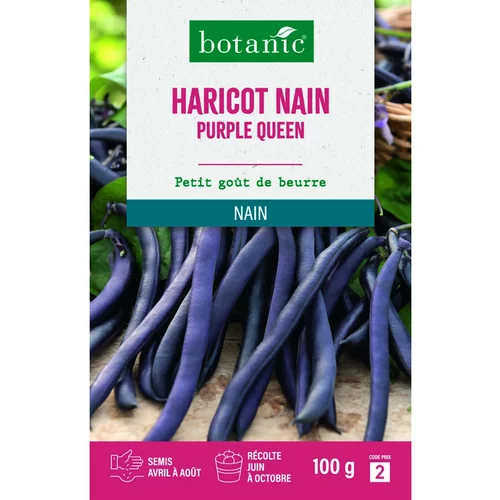 Graines d'haricot nain purple queen botanic® - graines à semer 100 g