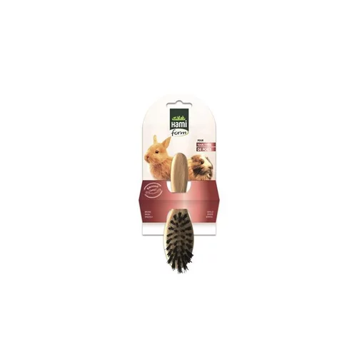 Brosse simple en bois pour rongeurs 18x6 cm