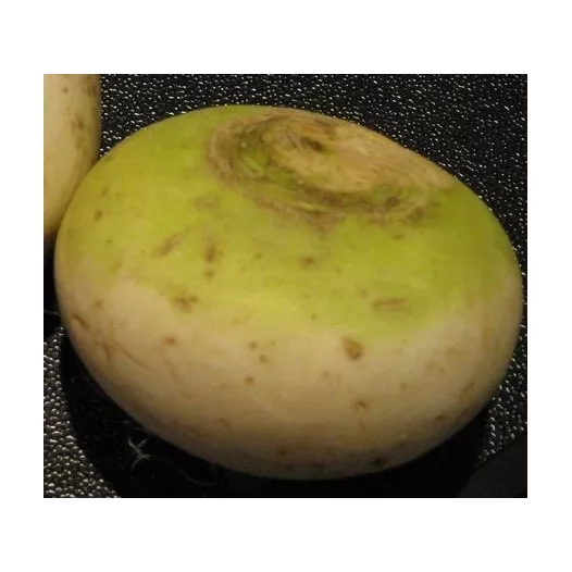 Semences biologiques de Navet Boulette de Champagne