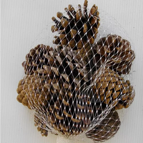Filet de 12 petites pommes de pin naturelles pour décoration de Noël
