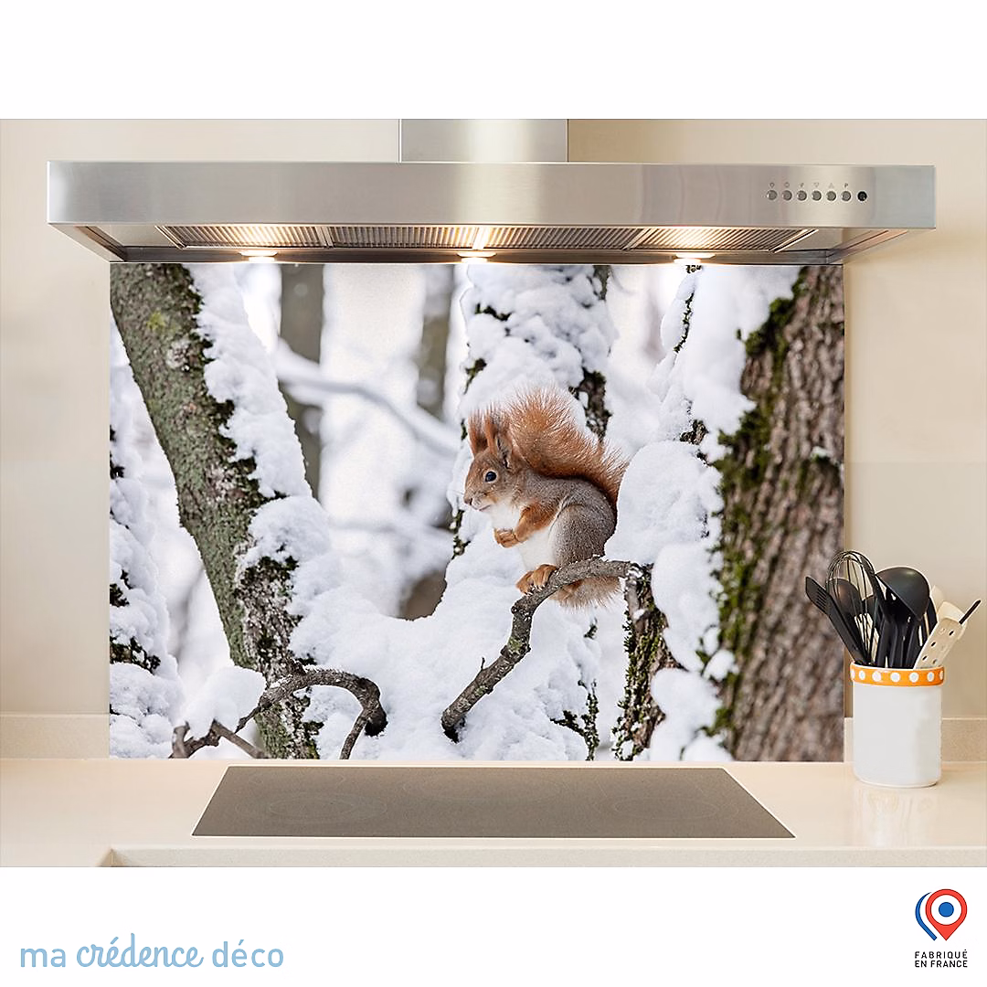 Crédence cuisine fond de hotte Ecureuil sous la neige | Verre trempé – L 90 cm x H 70 cm – MaCrédenceDéco