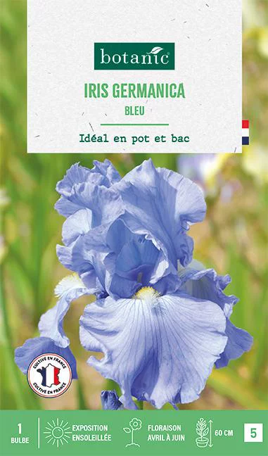 Bulbe de fleurs Iris Germanica bleu botanic® - 1 bulbe